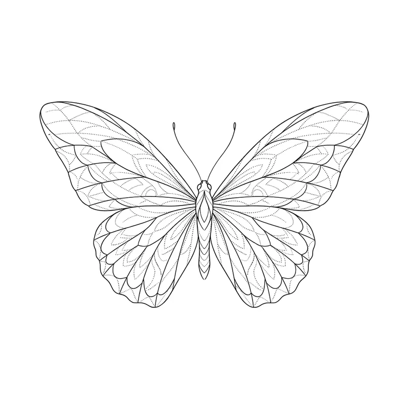 Farfalla fine line con ali dettagliate, tatuaggio minimalista