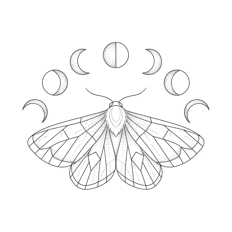 Falena fine line con le fasi lunari, disegno di tatuaggio