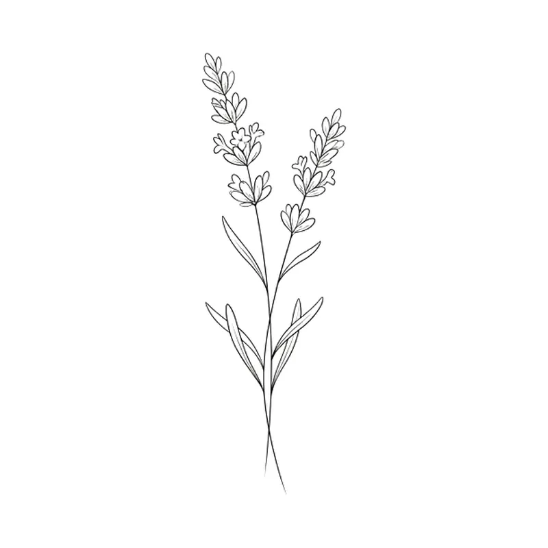 Rametto di lavanda fine line, tatuaggio minimalista